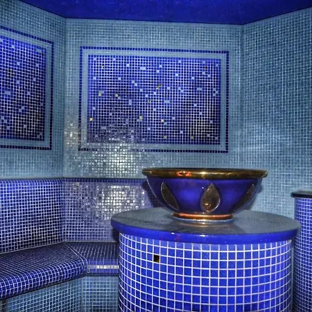 Lejlighed Studio Bellevue Spa Bansko *